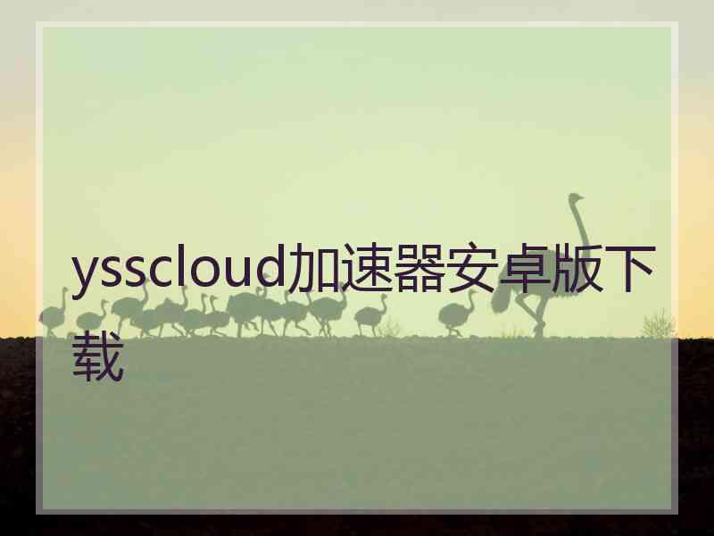 ysscloud加速器安卓版下载