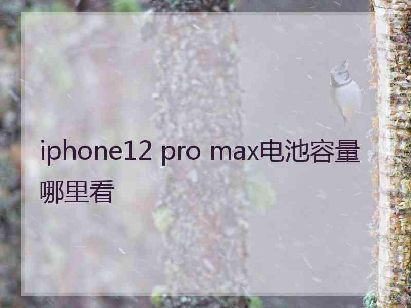 iphone12 pro max电池容量哪里看