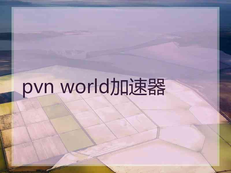 pvn world加速器