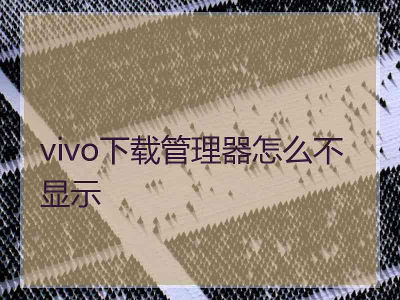 vivo下载管理器怎么不显示