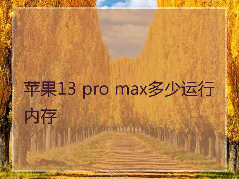 苹果13 pro max多少运行内存