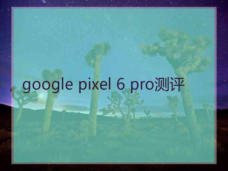 google pixel 6 pro测评