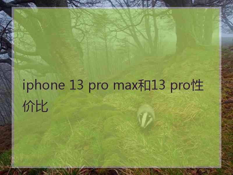 iphone 13 pro max和13 pro性价比