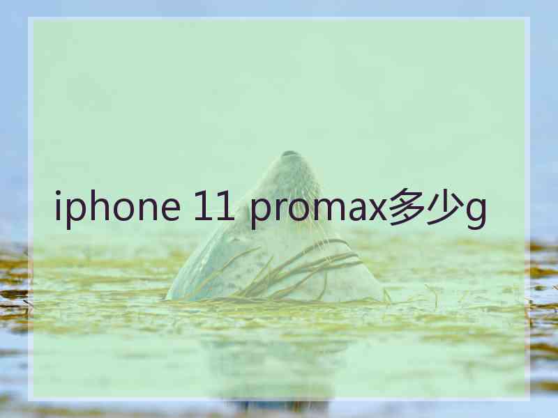 iphone 11 promax多少g