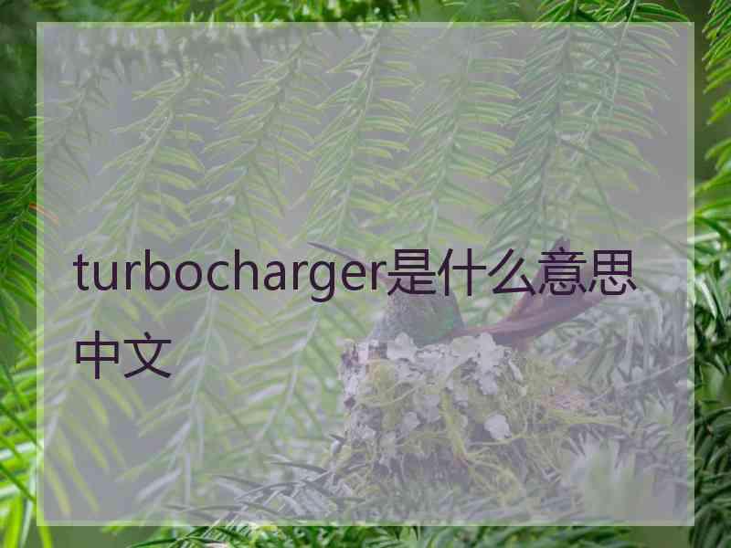 turbocharger是什么意思中文