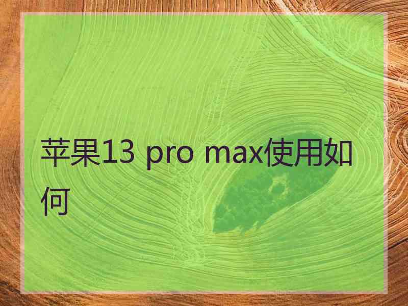 苹果13 pro max使用如何