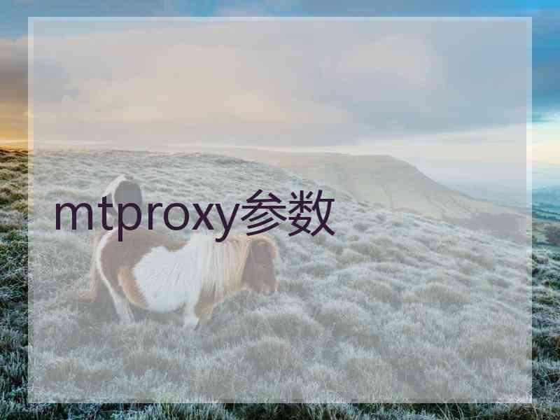 mtproxy参数