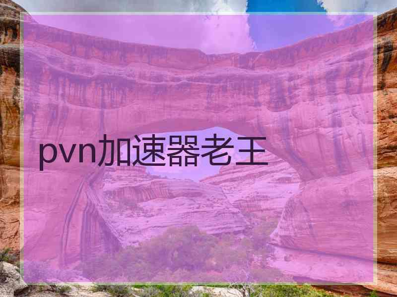 pvn加速器老王