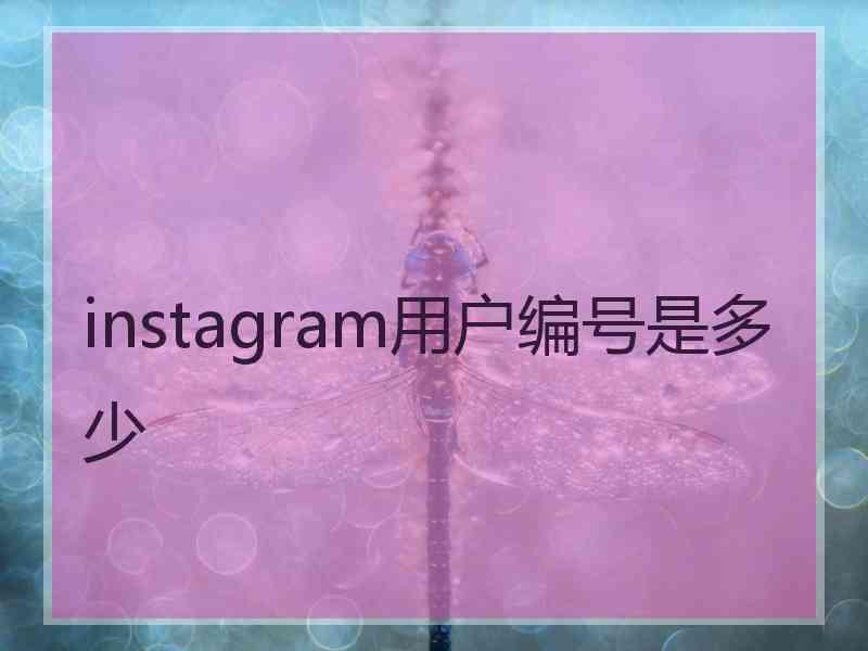 instagram用户编号是多少