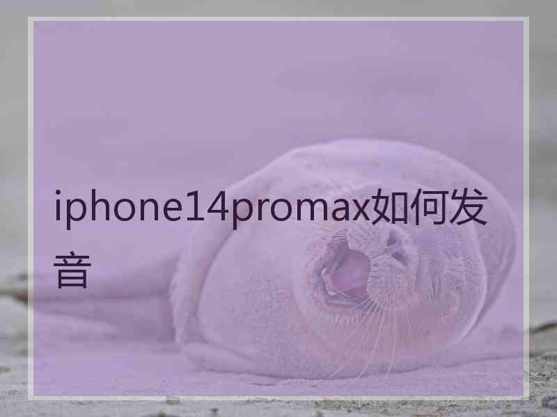 iphone14promax如何发音