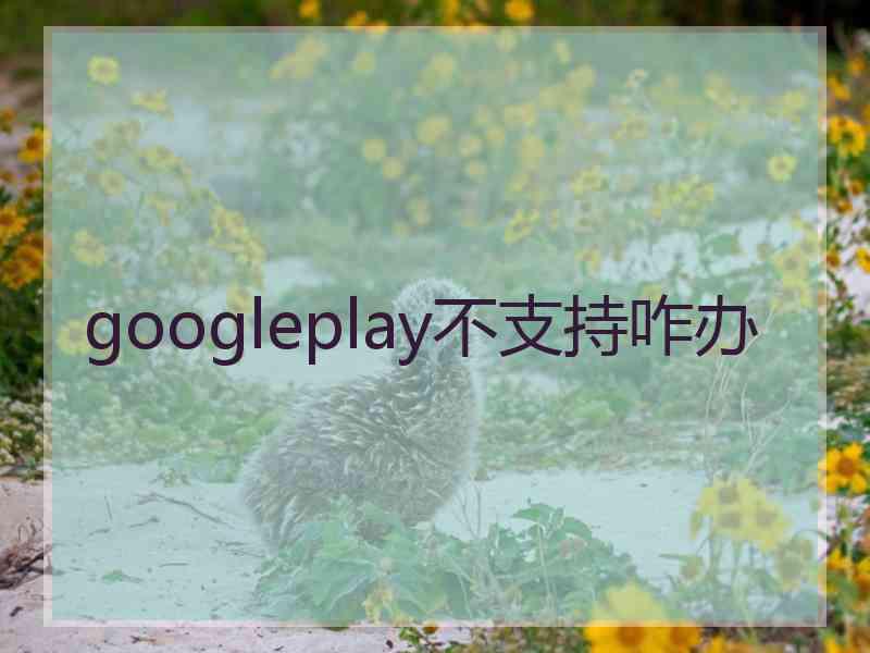 googleplay不支持咋办