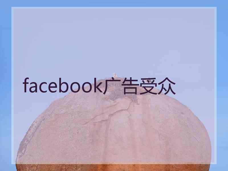 facebook广告受众