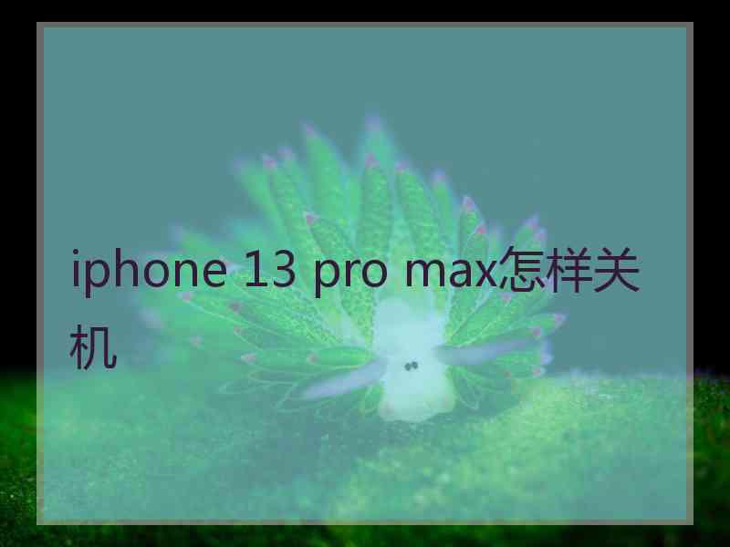 iphone 13 pro max怎样关机