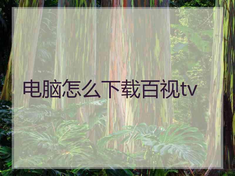 电脑怎么下载百视tv