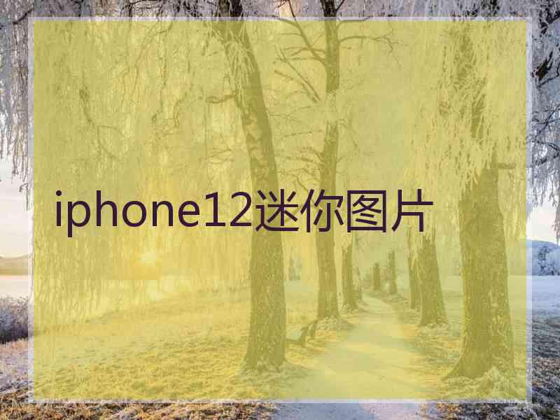 iphone12迷你图片