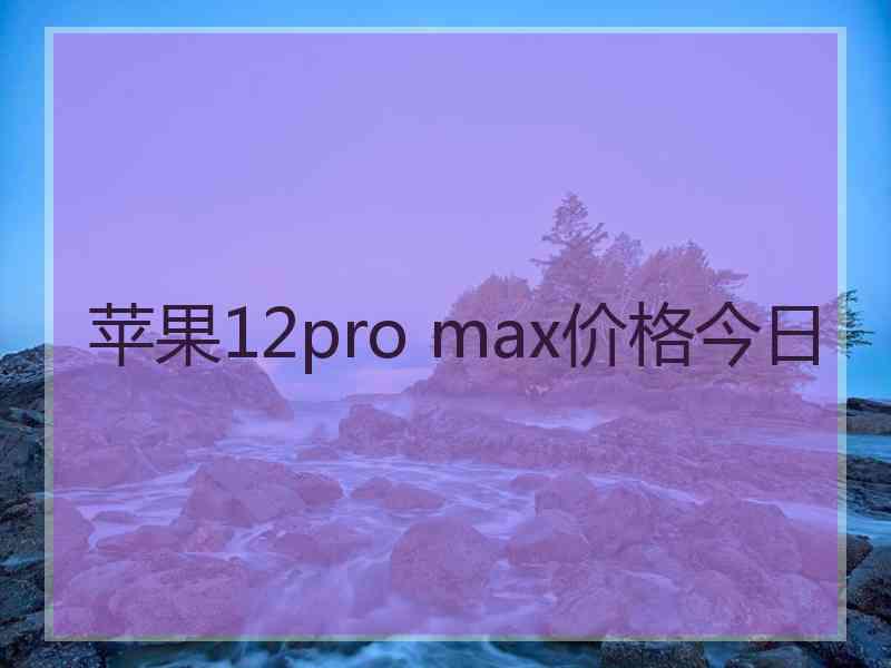 苹果12pro max价格今日