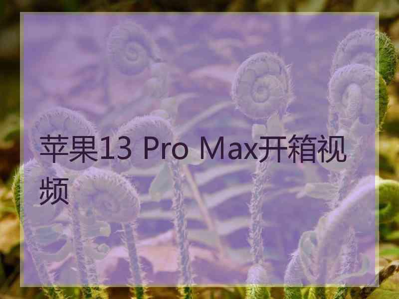 苹果13 Pro Max开箱视频