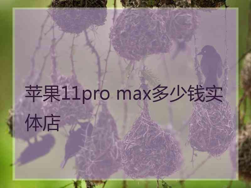 苹果11pro max多少钱实体店