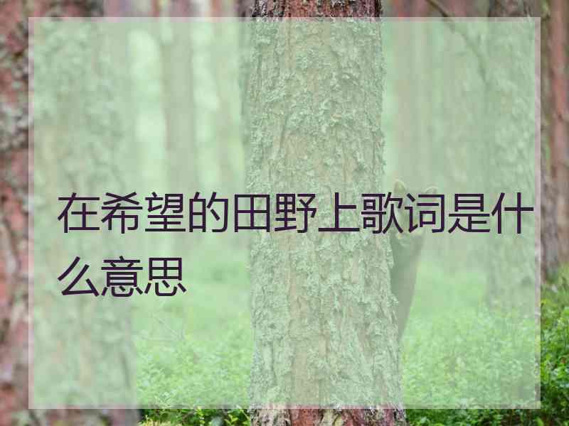 在希望的田野上歌词是什么意思