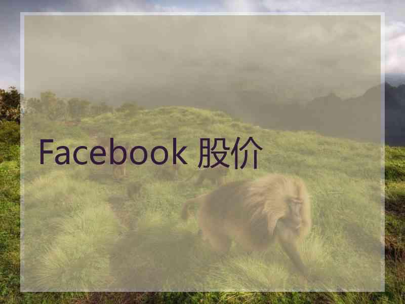 Facebook 股价