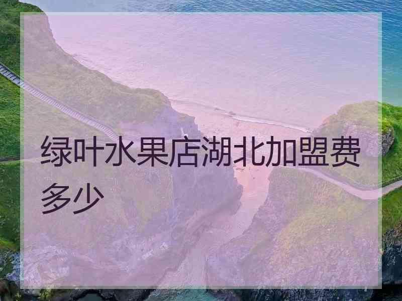 绿叶水果店湖北加盟费多少