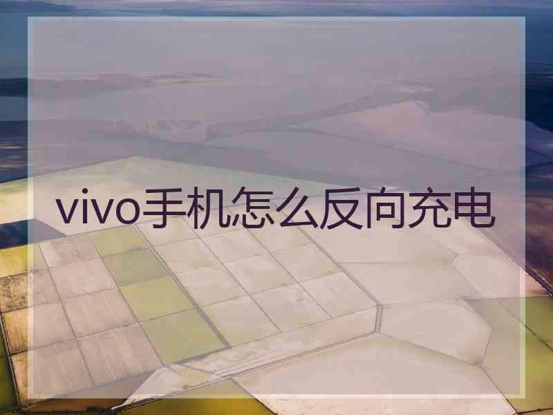 vivo手机怎么反向充电