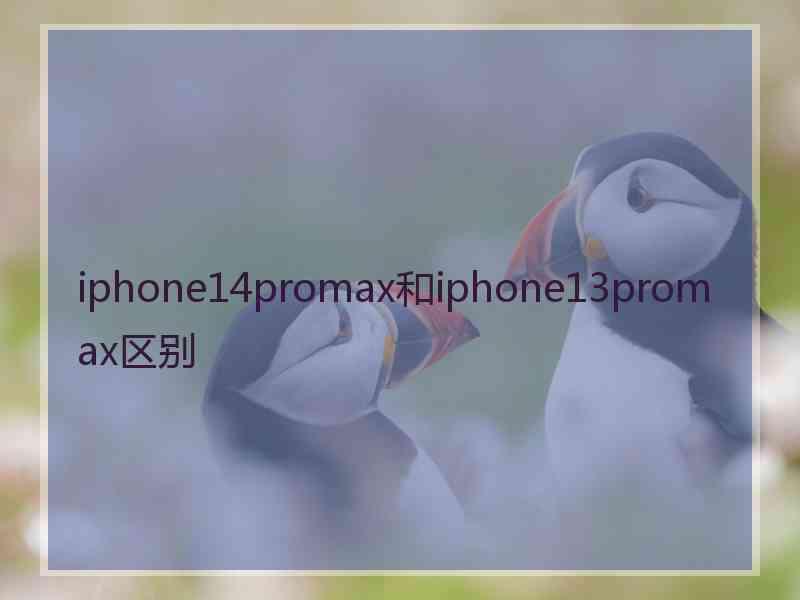 iphone14promax和iphone13promax区别