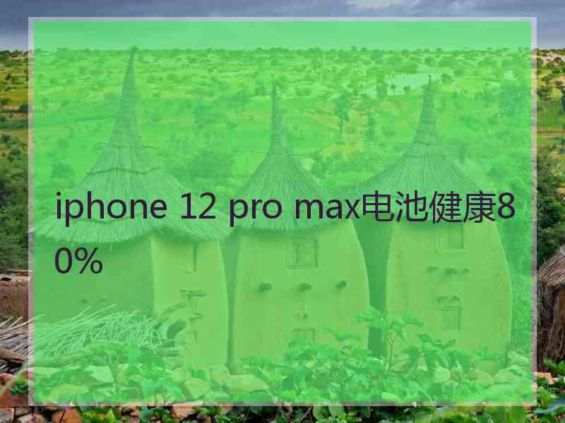 iphone 12 pro max电池健康80%