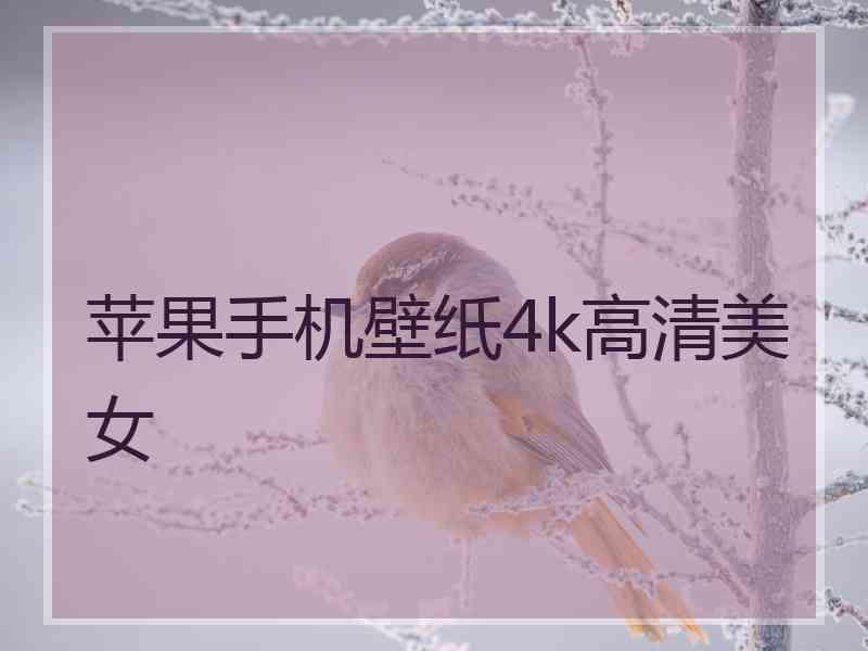 苹果手机壁纸4k高清美女