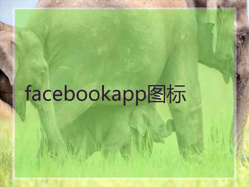 facebookapp图标