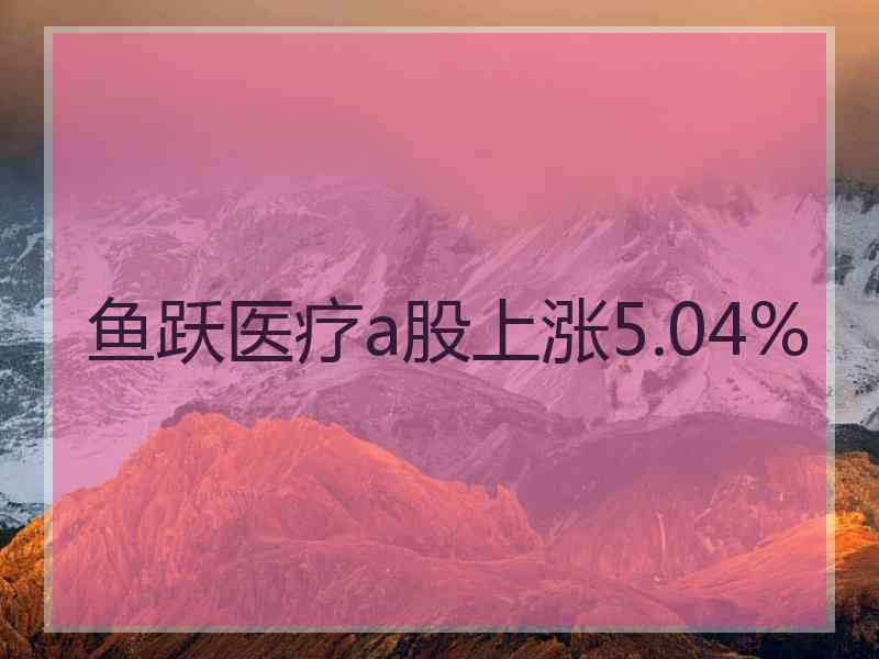 鱼跃医疗a股上涨5.04%