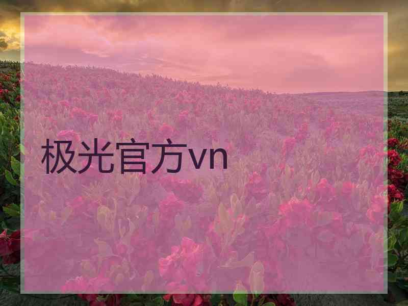 极光官方vn