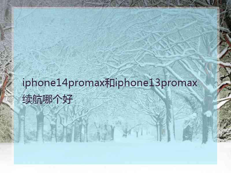 iphone14promax和iphone13promax续航哪个好