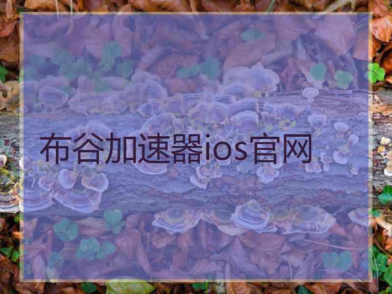 布谷加速器ios官网