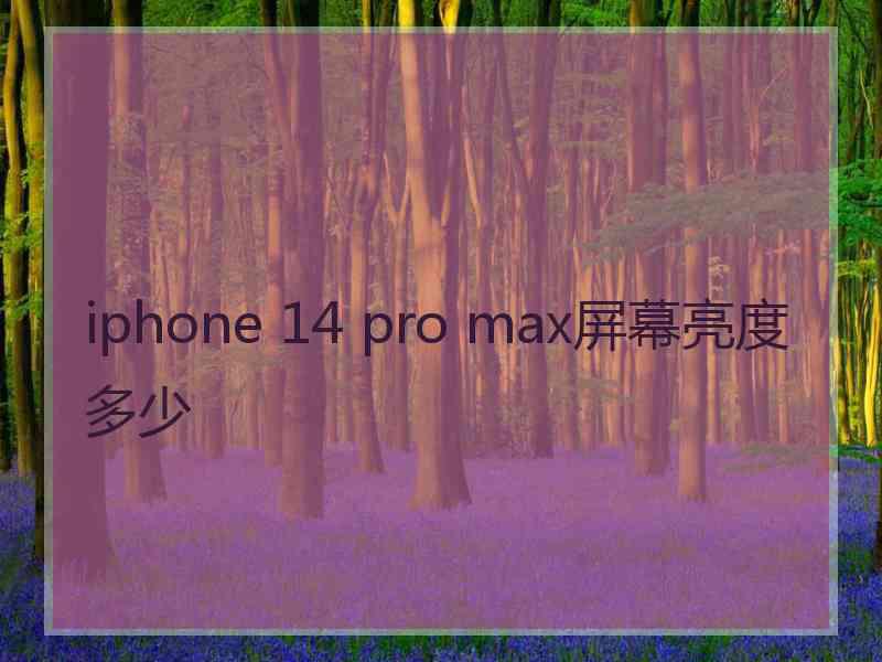 iphone 14 pro max屏幕亮度多少