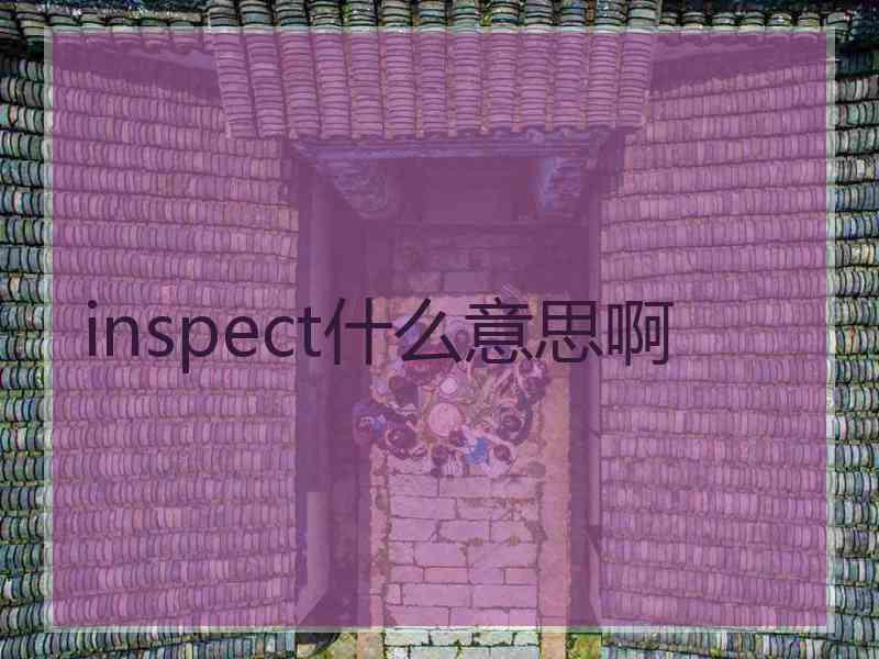 inspect什么意思啊