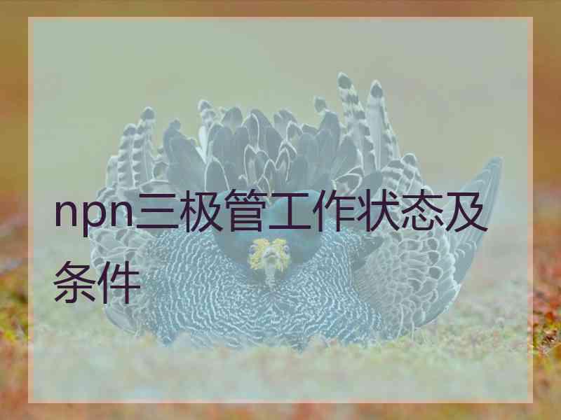 npn三极管工作状态及条件