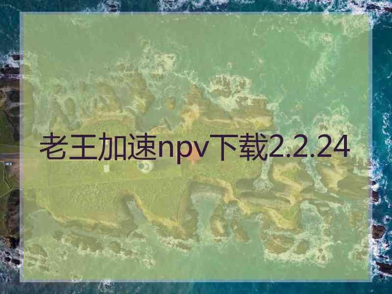 老王加速npv下载2.2.24