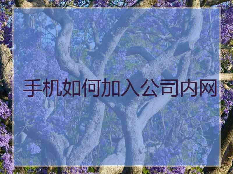 手机如何加入公司内网