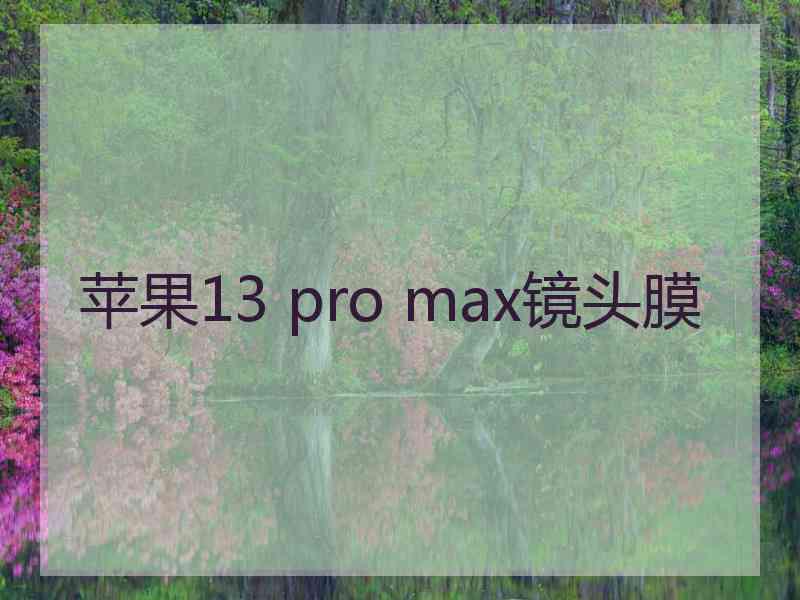 苹果13 pro max镜头膜