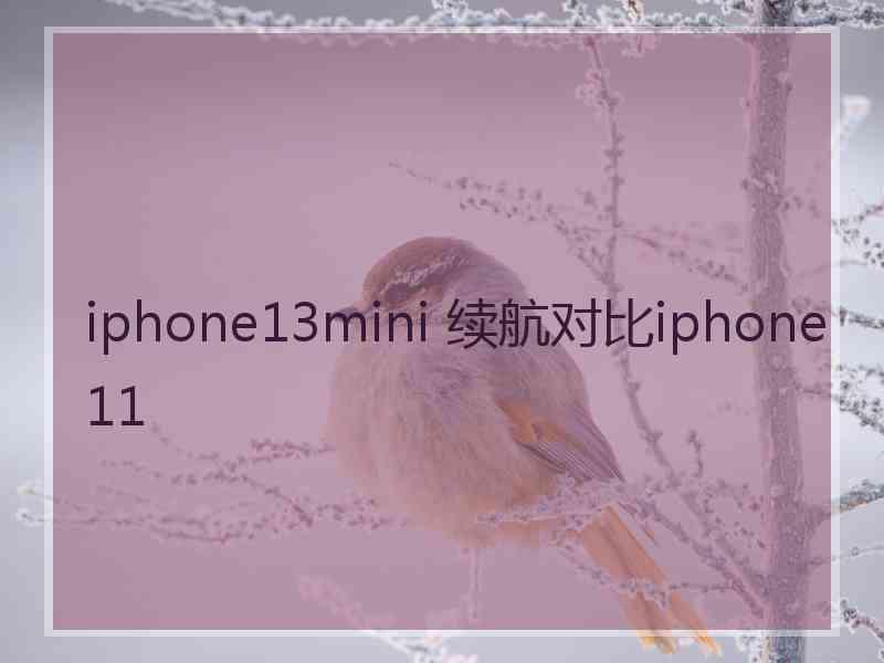 iphone13mini 续航对比iphone11