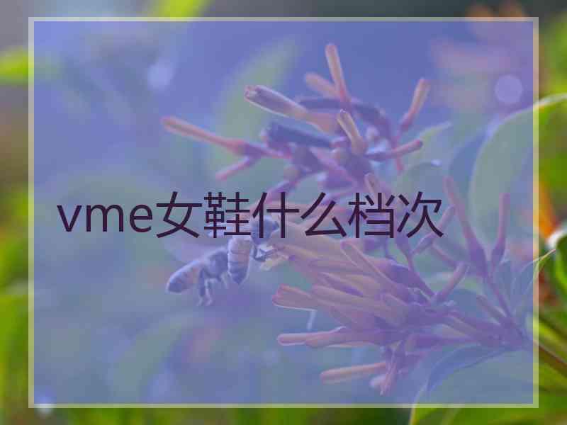 vme女鞋什么档次