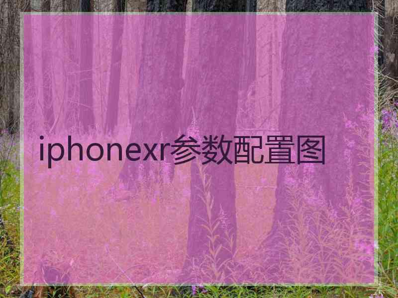 iphonexr参数配置图