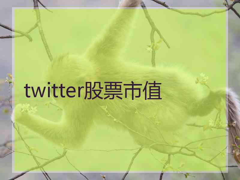 twitter股票市值