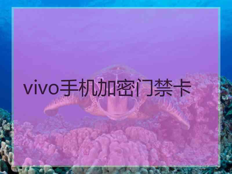 vivo手机加密门禁卡