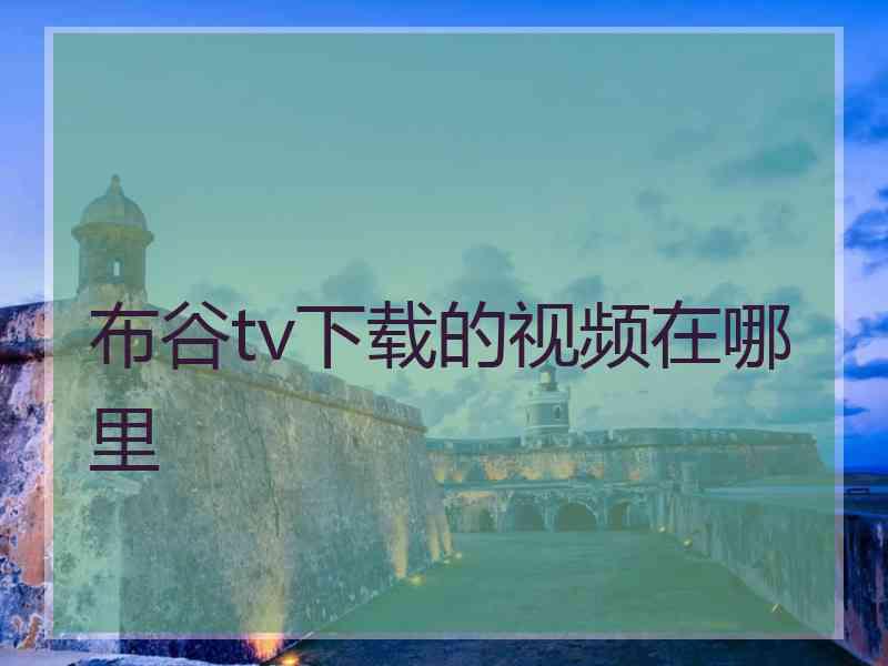 布谷tv下载的视频在哪里