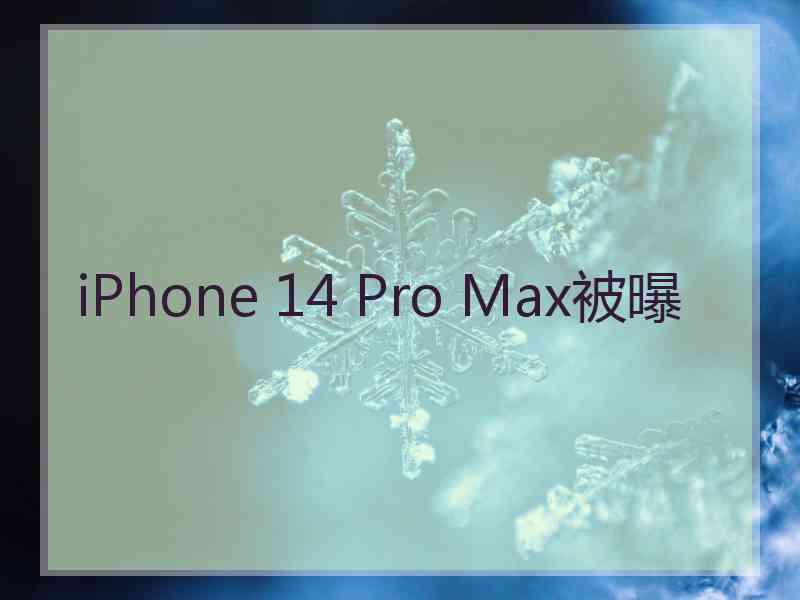 iPhone 14 Pro Max被曝