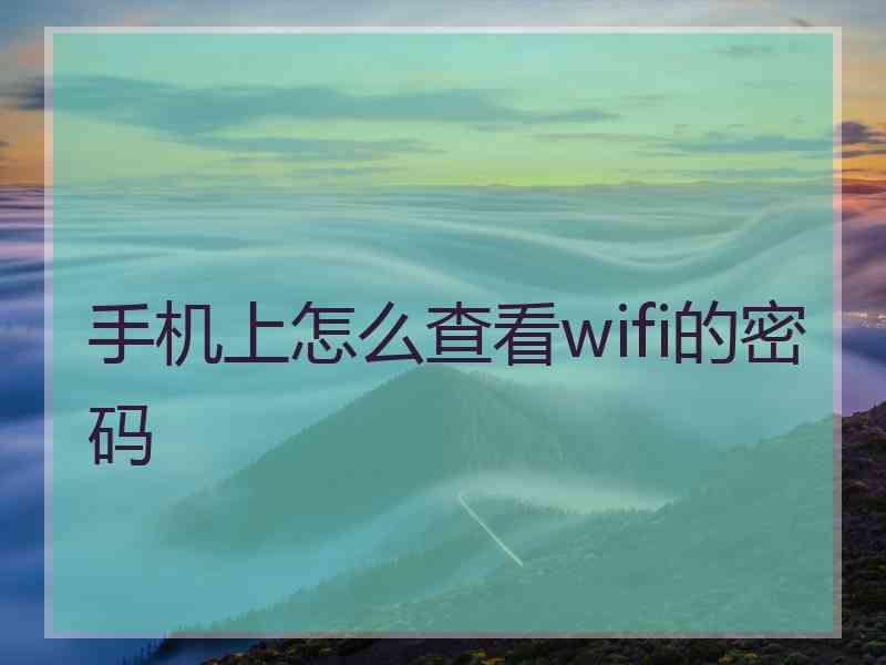 手机上怎么查看wifi的密码