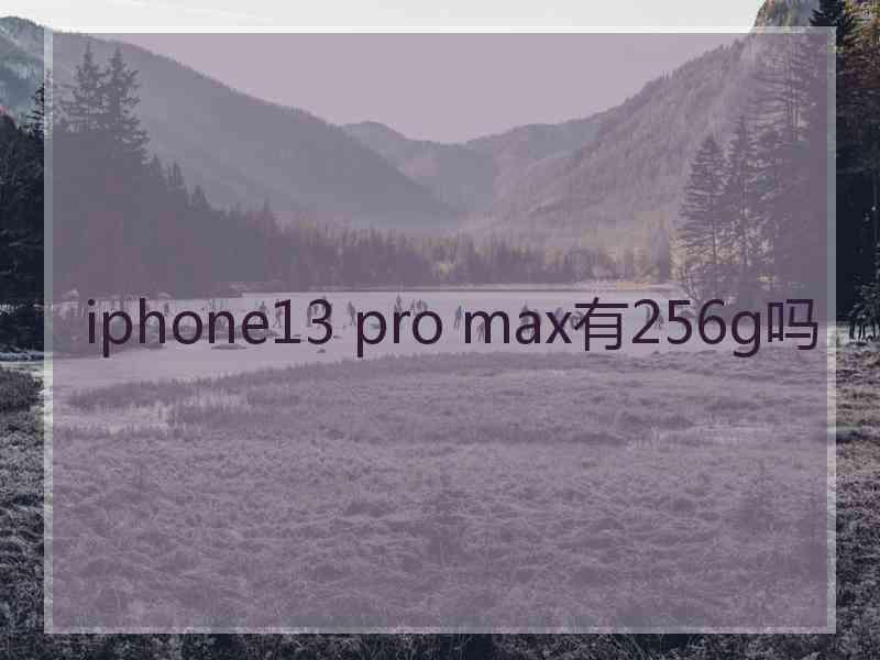 iphone13 pro max有256g吗