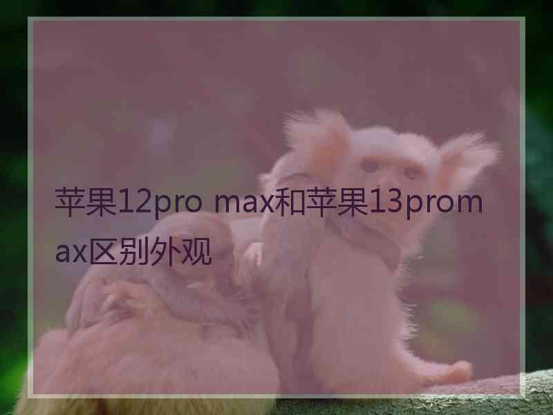 苹果12pro max和苹果13promax区别外观